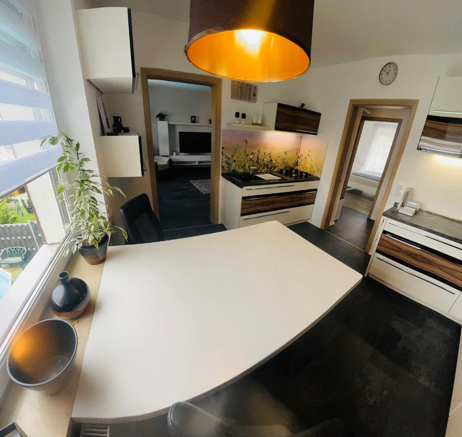 Ferienwohnung Ziegenschweiz Auerbach  المظهر الخارجي الصورة