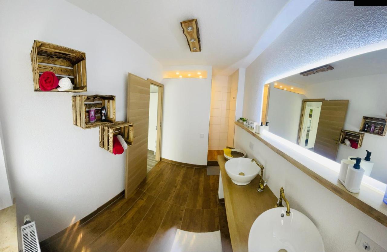 Ferienwohnung Ziegenschweiz Auerbach  المظهر الخارجي الصورة